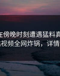 当事人在傍晚时刻遭遇猛料真相大白，樱桃视频全网炸锅，详情点击
