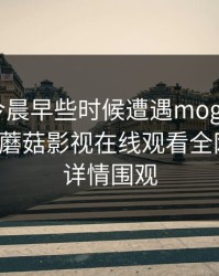 明星在今晨早些时候遭遇mogushipin 揭秘，蘑菇影视在线观看全网炸锅，详情围观