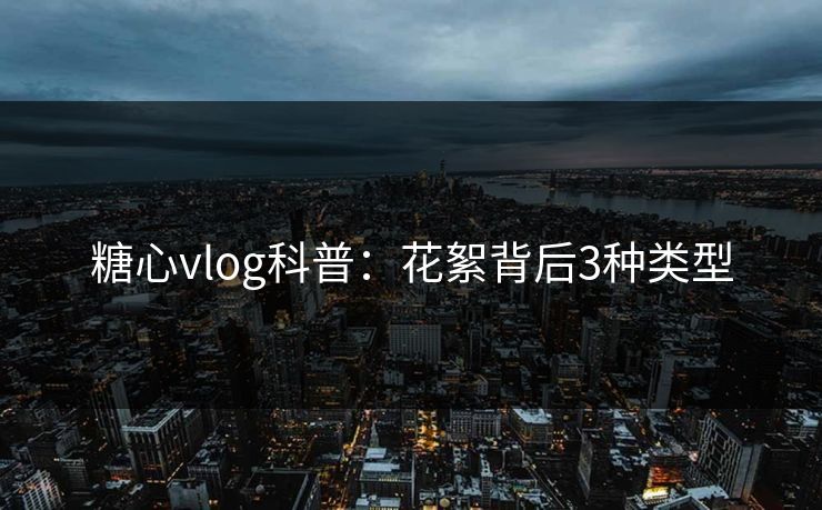 糖心vlog科普：花絮背后3种类型