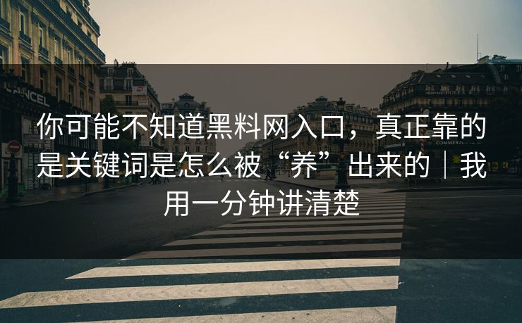 你可能不知道黑料网入口，真正靠的是关键词是怎么被“养”出来的｜我用一分钟讲清楚